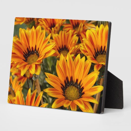 Art Décor Plaque-Fall Flowers Plaque (Côté)