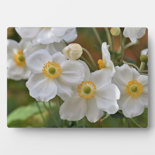 Art Decor Plaque-Flowers Plaque Fotoplaat (voorkant)