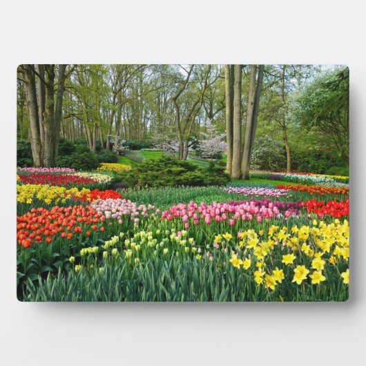 Art Decor Plaque-Flowers Plaque Fotoplaat (voorkant)