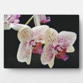 Art Decor Plaque-Orchids Plaque Fotoplaat (voorkant)