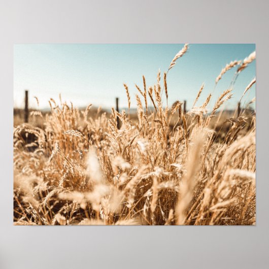 Art & Décoration Murale > Affiches & Impressions (Devant)