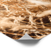 Art & Décoration Murale > Affiches & Impressions (Coin)