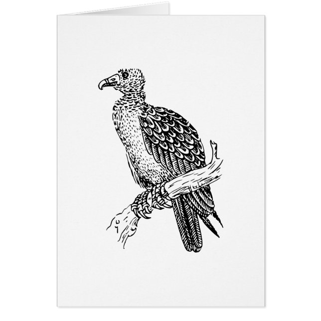 Art d'oiseau de Buzzard (Devant)