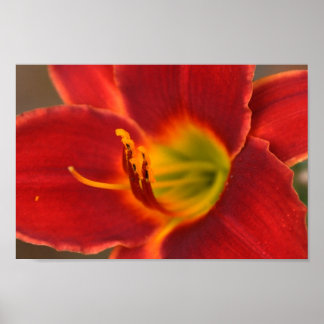 Art door Augle Poster