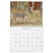Art du calendrier photographique des cerfs sauvage (Feb 2026)