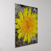 ART ET DESIGN DE POSTER À IMPRESSION MÉTALLISÉE (Poser)