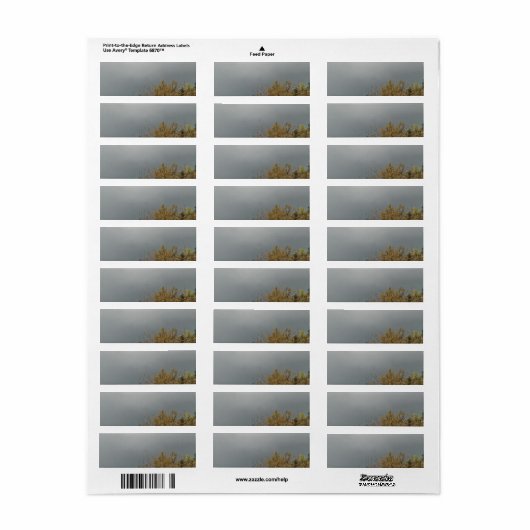 ART ET DESIGN ÉTIQUETTE DE ADRESSE (Feuille entière)
