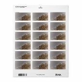 ART ET DESIGN ÉTIQUETTE DE ADRESSE (Feuille entière)