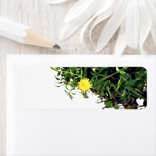 ART ET DESIGN ÉTIQUETTE DE ADRESSE (En situation)