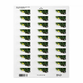 ART ET DESIGN ÉTIQUETTE DE ADRESSE (Feuille entière)