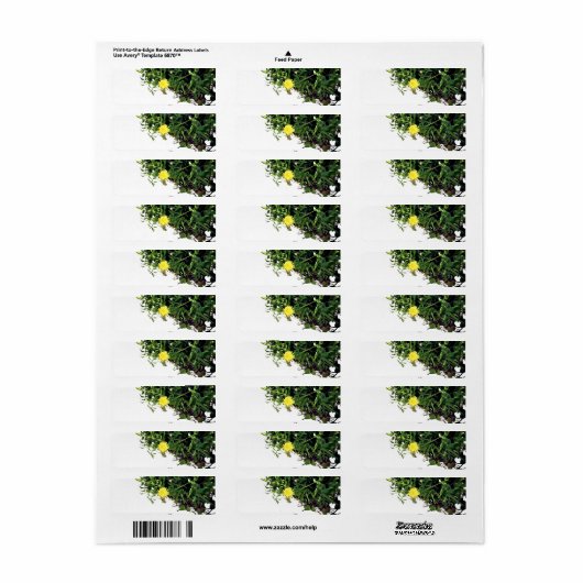 ART ET DESIGN ÉTIQUETTE DE ADRESSE (Feuille entière)