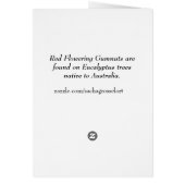 Art fleurissant rouge australien d'aquarelle de (Dos)