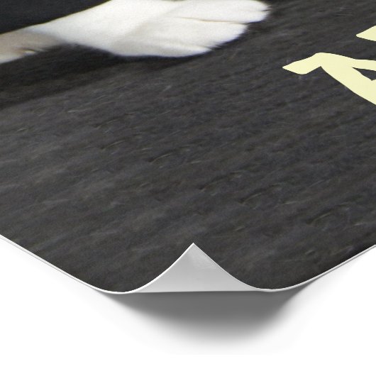 ART is FUN CAT Poster (Hoek)