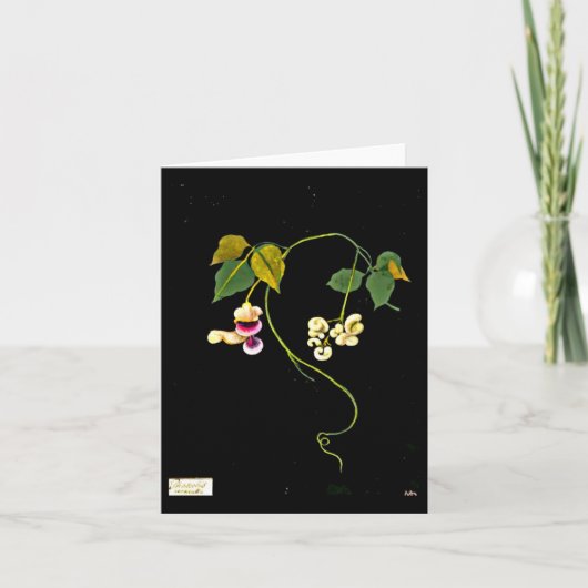 Art-Mary Carte pour notes-Botanique Delany 5 (Devant)