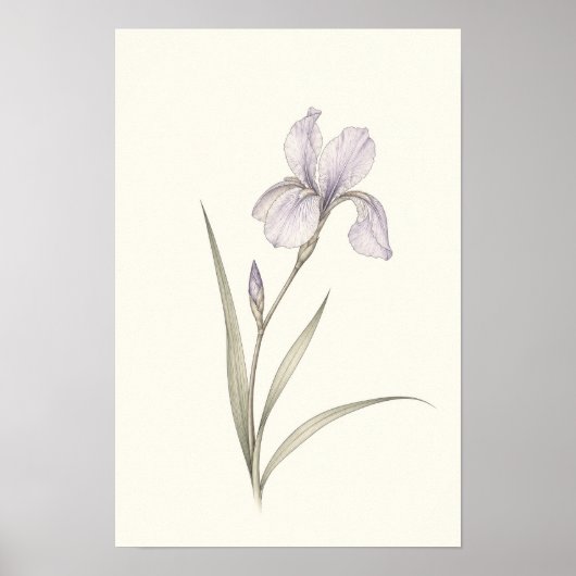 Art mural botanique Iris Violet Minimaliste (Devant)