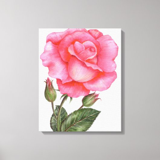 Art mural botanique Rose rose florale Fleur (Recto)