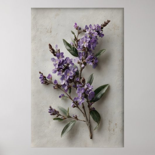 Art mural Dampiera imprimable, Fleur Antique Print (Devant)