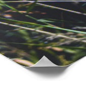 Art mural de la nature abstraite – Paysage moderne (Coin)
