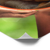 ART MURAL DE SINGE : VOUS ÊTES AIMÉ (Coin)