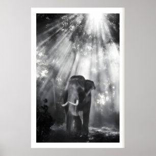 Art mural éléphant monochrome, Photo de nature (Vi
