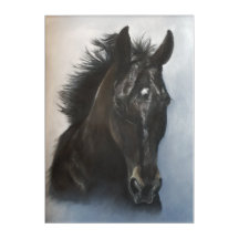 Cheval Noir Acrylique