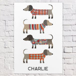 Art Mural En Acrylique Dachshund Wiener Sausage Chien Personnalisé<br><div class="desc">Mignonne petite saucisse Dachshund ou des chiens édulcorés en laine. Parfait pour les amoureux de les chiens. Art original de Nic Squirrell. Modifiez le nom pour customiser.</div>