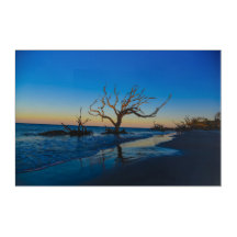 Driftwood Beach Jekyll Island Géorgie USA USA