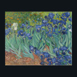 Art Mural En Acrylique Irises Fleurs Van Gogh Floral Vintage Peinture<br><div class="desc">Unique, résistant à l'eau, facile à nettoyer, décoration de la maison de chambre, imprimé couleur haute définition d'art mur acrylique, avec une belle huile vintage détaillée colorée sur toile, par Vincent van Gogh, d'iris et fleurs de saison dans un jardin. Belle oeuvre pour les fleurs / floral / nature /...</div>