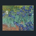 Art Mural En Acrylique Irises Fleurs Van Gogh Floral Vintage Peinture<br><div class="desc">Unique, résistant à l'eau, facile à nettoyer, décoration de la maison de chambre, imprimé couleur haute définition d'art mur acrylique, avec une belle huile vintage détaillée colorée sur toile, par Vincent van Gogh, d'iris et fleurs de saison dans un jardin. Belle oeuvre pour les fleurs / floral / nature /...</div>