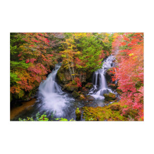 Art Mural En Acrylique Les cascades   Cascades de Faucet Nikko Japon Chut