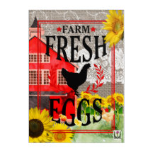 L'illustration 53086C39 des rustres du pays de FD