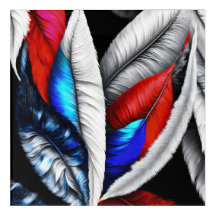 Plumes américaines