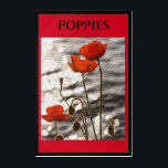 Art Mural En Acrylique Poppies<br><div class="desc">Hé, tous les amoureux des fleurs là-bas. Voici une image que vous êtes sûr d'aimer. C'est une image de belles fleurs de coquelicots debout, en pleine floraison, près des rives d'une voie d'eau. L'image colorée comporte également une barre noire et une fausse texture. Vous pouvez acheter cette impression acrylique "Poppies"...</div>