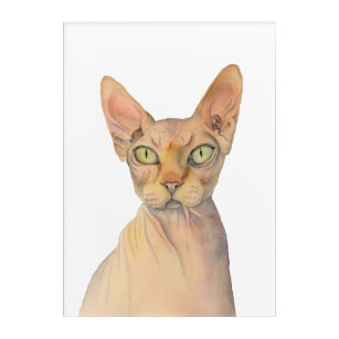 Art Mural En Acrylique Portrait d'aquarelle de chat de Sphynx