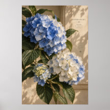 Art mural floral hydrangea bleu vintage