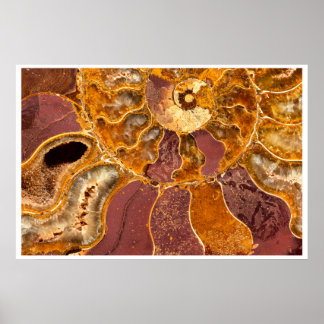 Art mural fossile d'ammonite | Abstrait tons de te