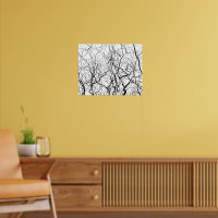 Art noir et blanc Poster des Willow Trees nu