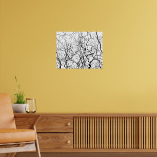 Art noir et blanc Poster des Willow Trees nu