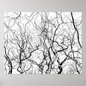 Art noir et blanc Poster des Willow Trees nu (Devant)