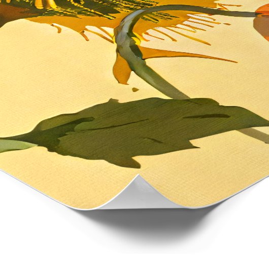 Art Nouveau 1896 Het pauw patroon Poster (Hoek)