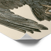 Art Nouveau adelaar, roofvogels Poster (Hoek)