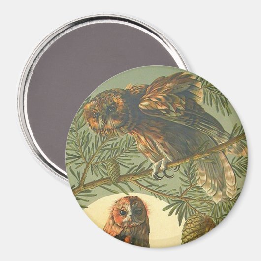 Art nouveau Anton Seder uil bruin groen geel Magneet (Voorkant / Achterkant)