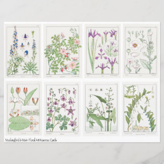 Art Nouveau Bloemen Collageblad Verneuil