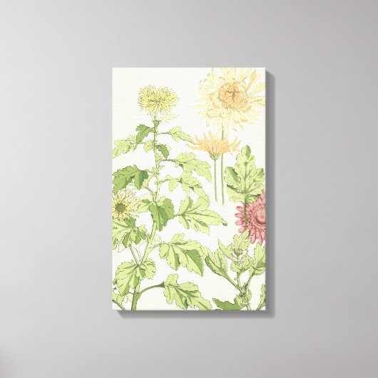 Art Nouveau, Chrysanthema's in een tuin Canvas Afdruk (Voorkant)