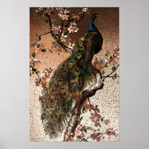 Art Nouveau-pauw op bloeiende boom in vintage-stij Poster