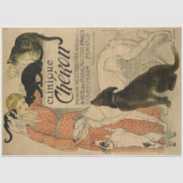 Art Nouveau Poster 21 Pets Lady-ontkoppeling Tissuepapier