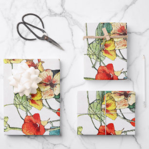 Art Nouveau tuin Nasturtium bloemen Inpakpapier Vel