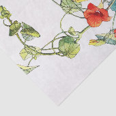 Art Nouveau tuin Nasturtium bloemen Tissuepapier (Detail)