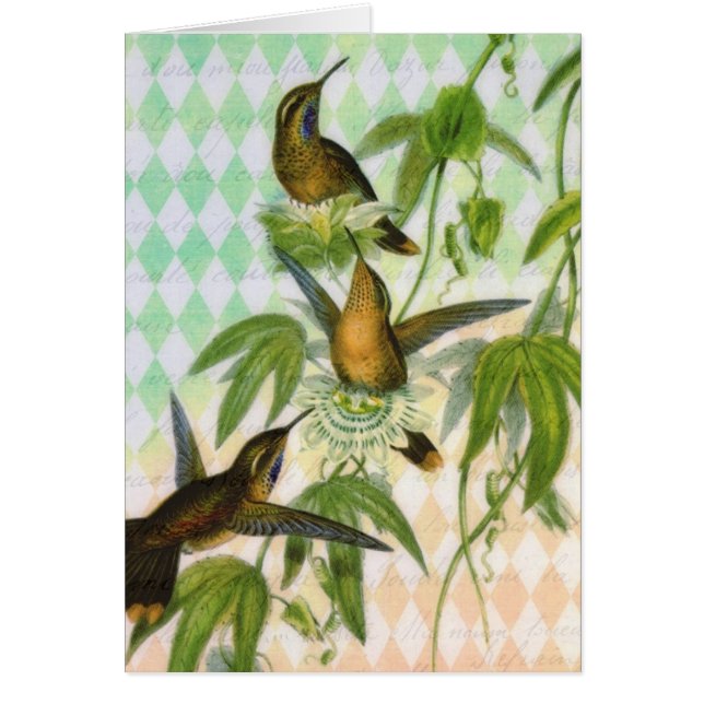 Art numérique de colibri (Devant)