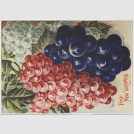 Art Poster 25 Afgiftepapier voor druiven Tissuepapier